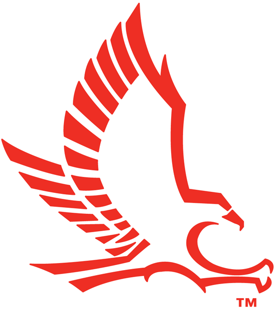hartford hawks 1984-pres secondary logo iron on transfers for fabric fabric transfer